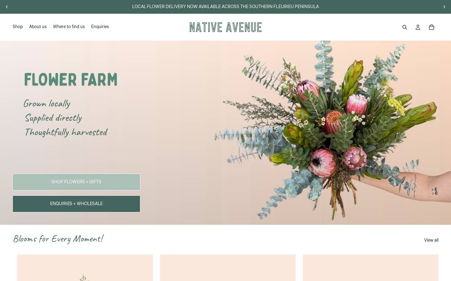 nativeavenue.com.au homepage screenshot