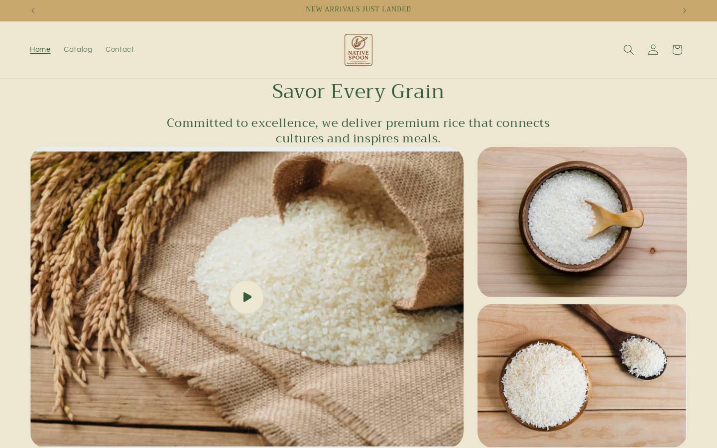 nativespoon.in homepage screenshot