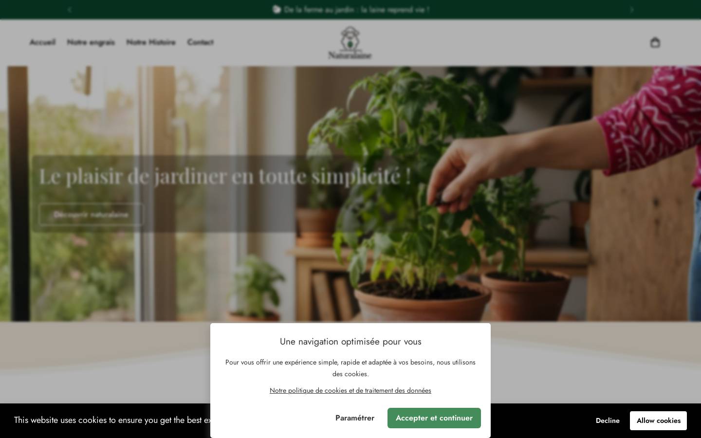 naturalaine.fr homepage screenshot