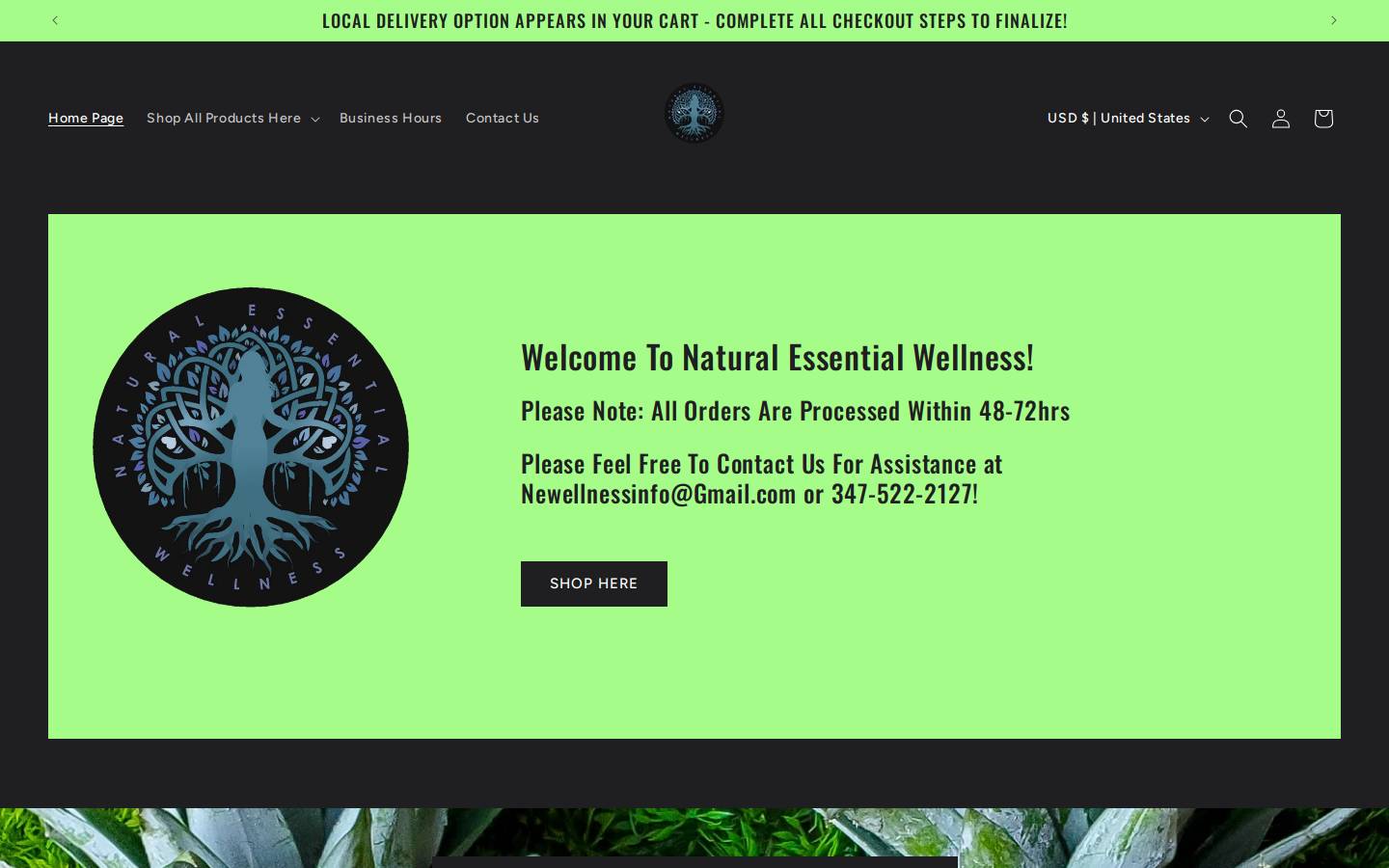 naturalessentialwellness.net homepage screenshot