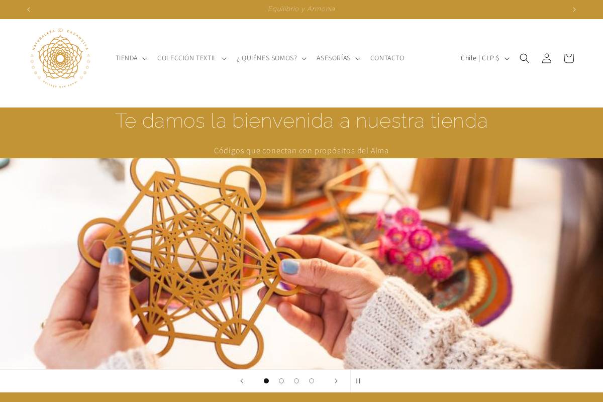naturalezaexpansiva.cl homepage screenshot