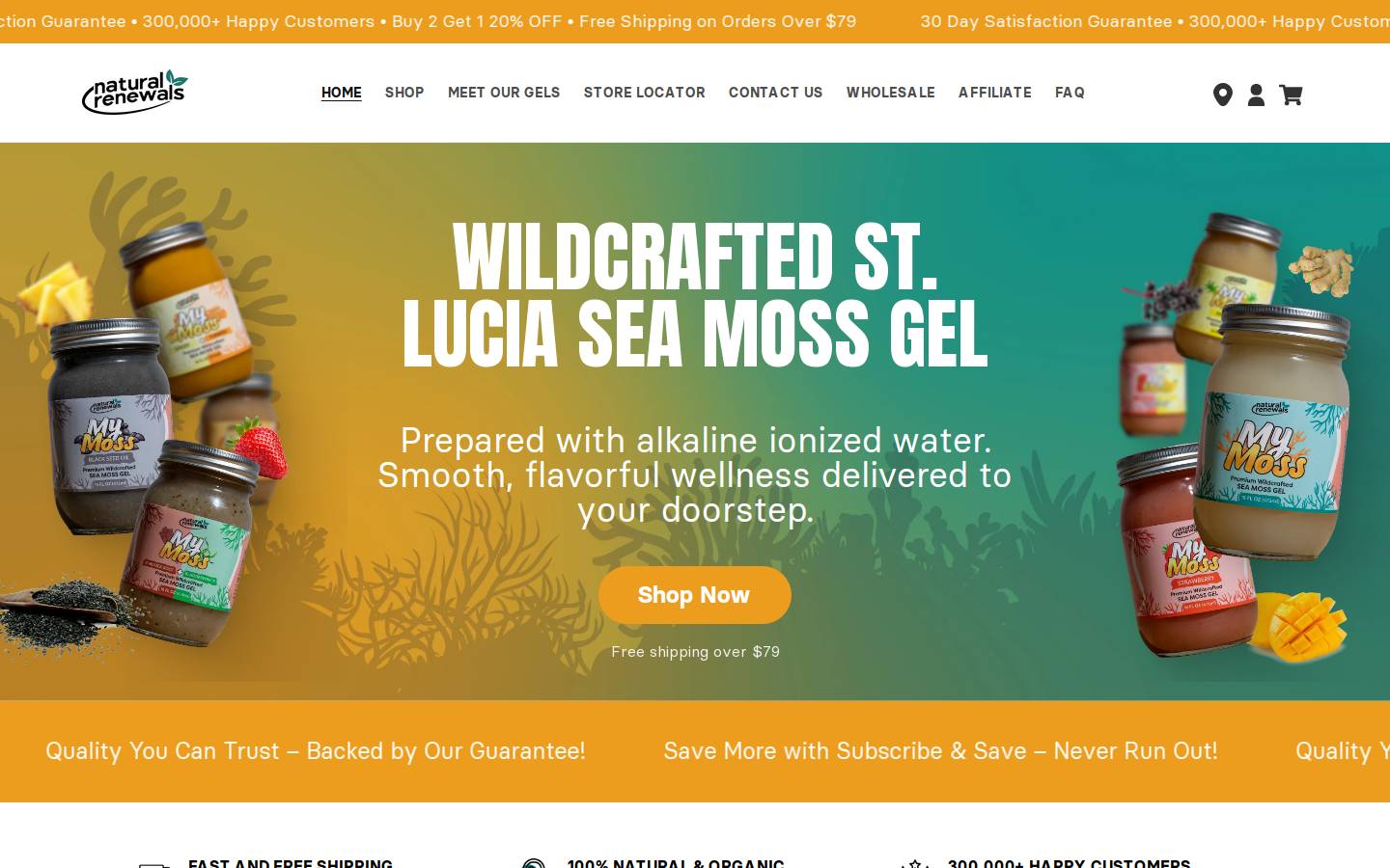 naturalrenewals.com homepage screenshot