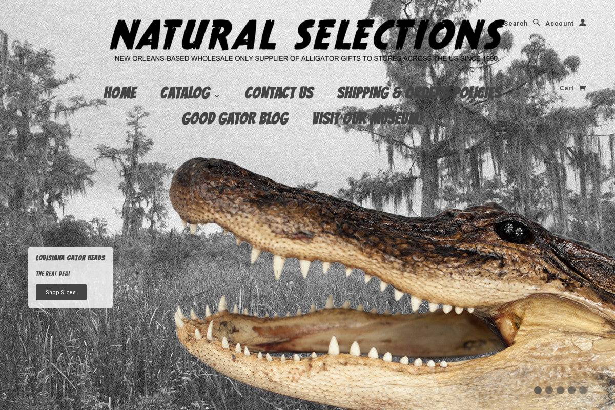 naturalselectionsinc.com homepage screenshot