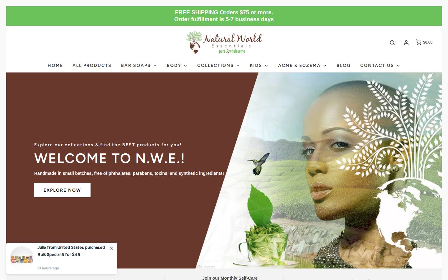naturalworldessentials.com homepage screenshot