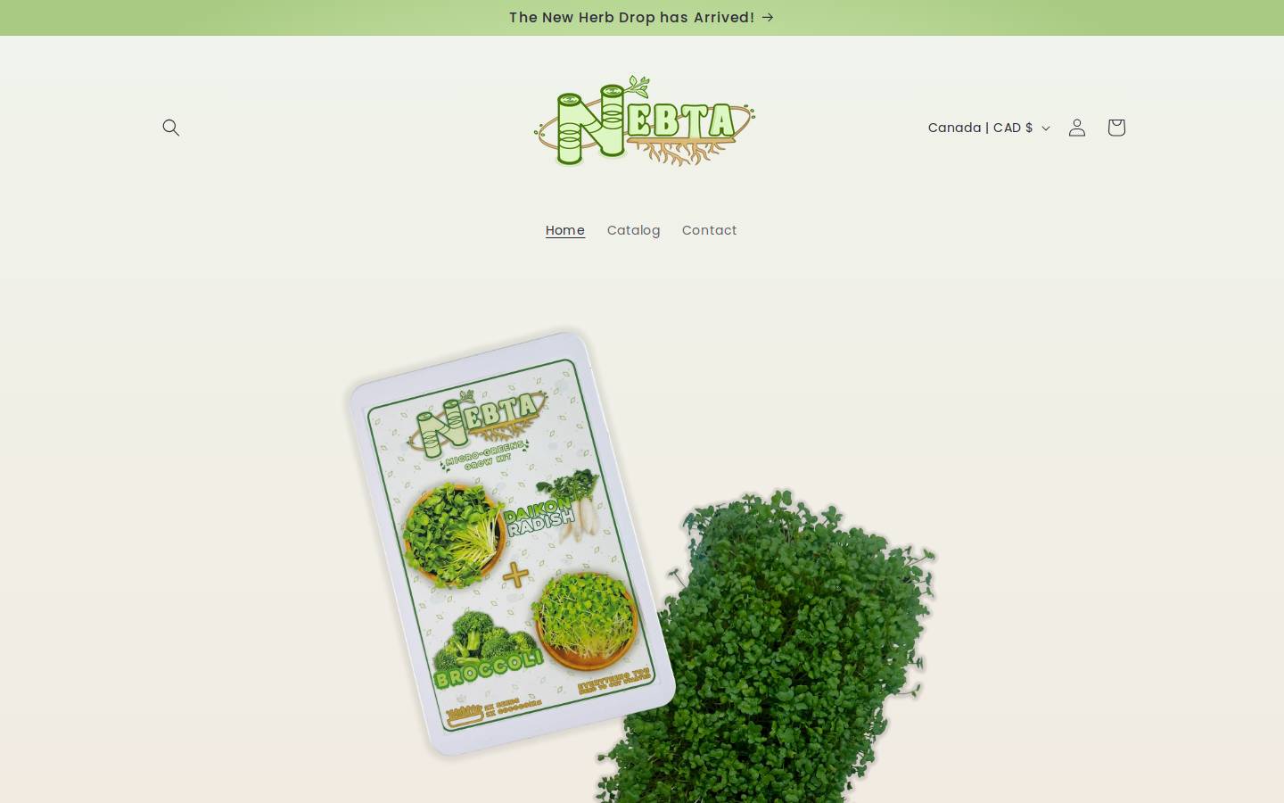 nebta.net homepage screenshot