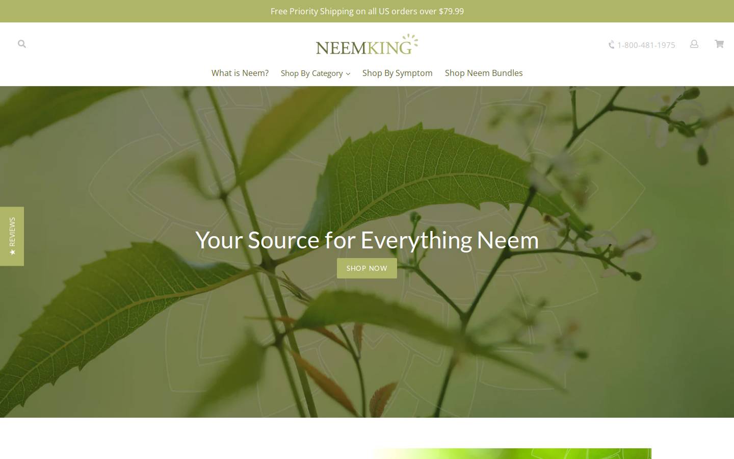 neemking.org homepage screenshot