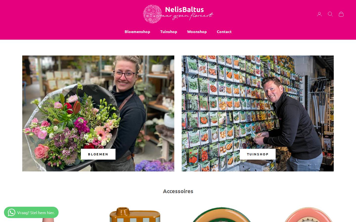 nelisbaltus.nl homepage screenshot