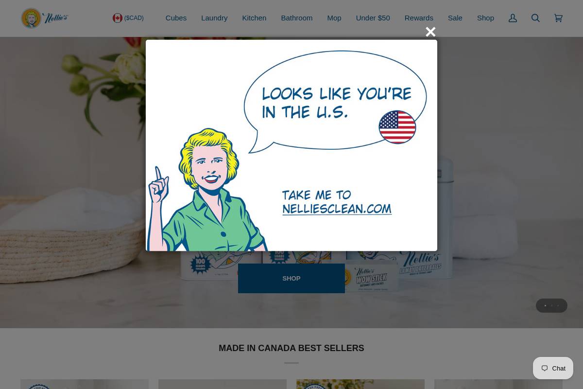 nelliesclean.ca homepage screenshot