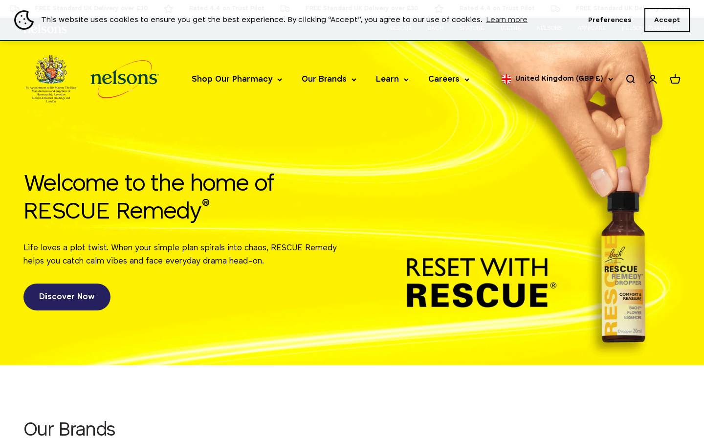 Nelsons homepage screenshot