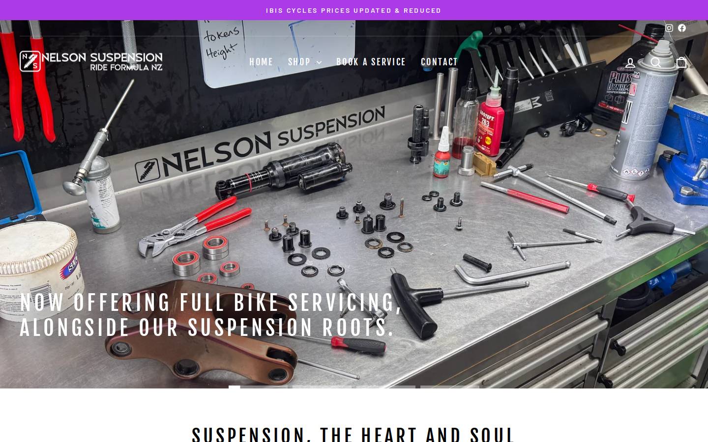 nelsonsuspension.com homepage screenshot