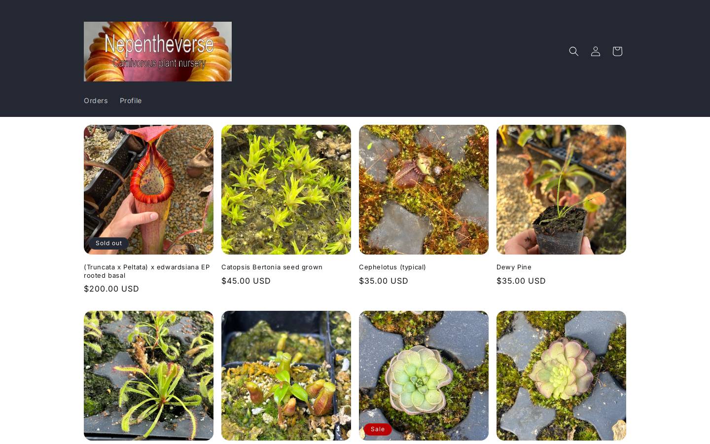 nepentheverse.com homepage screenshot