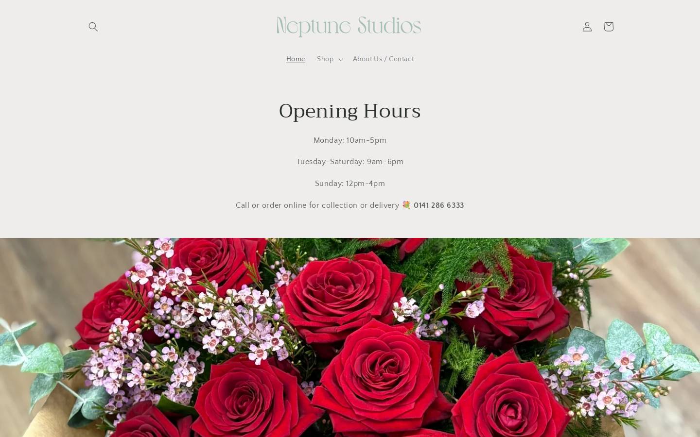 neptunestudios.co.uk homepage screenshot
