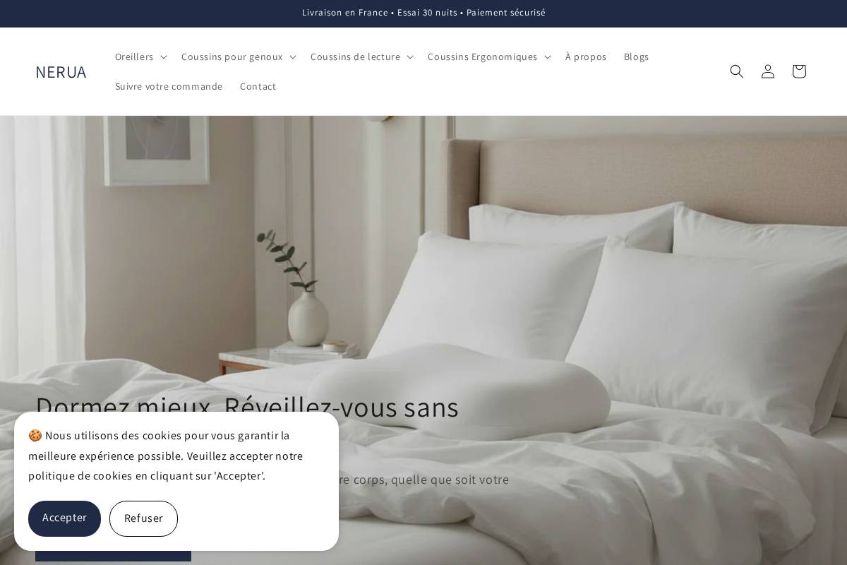 nerua.fr homepage screenshot