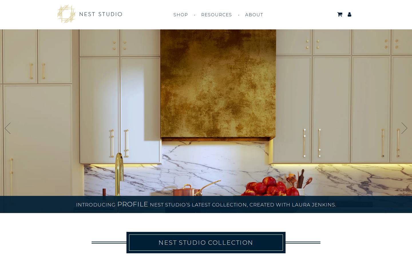 nest-studio-home.com homepage screenshot