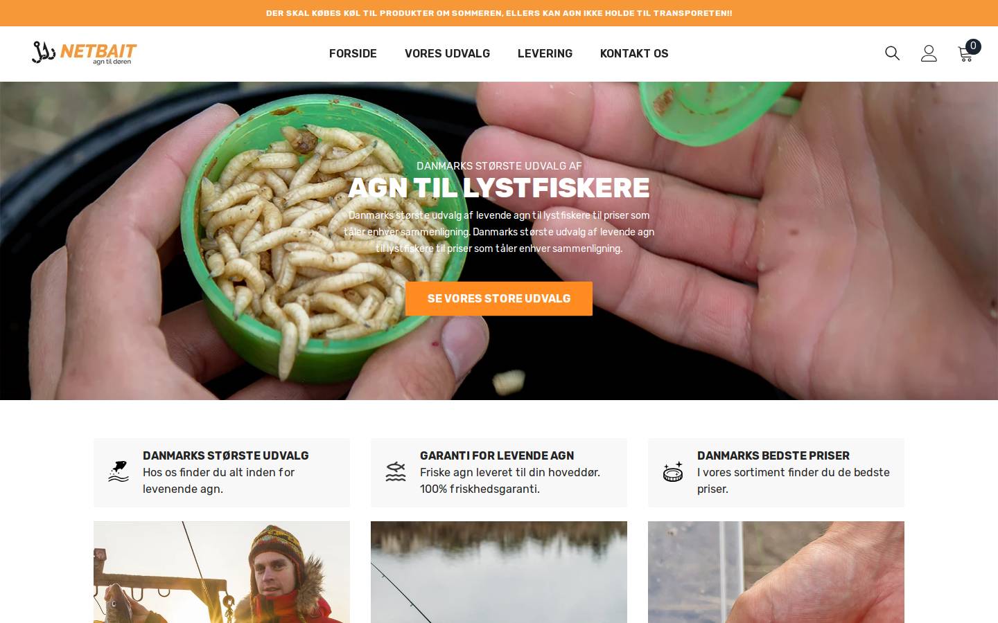 Netbait homepage screenshot