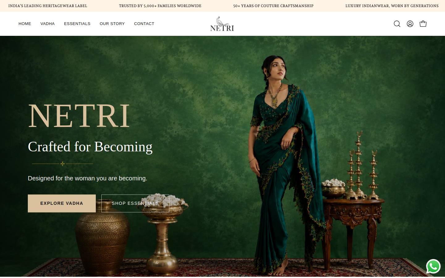 netri.in homepage screenshot