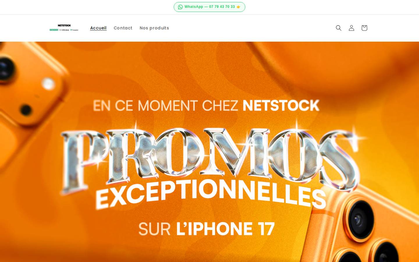 Netstock4 homepage screenshot