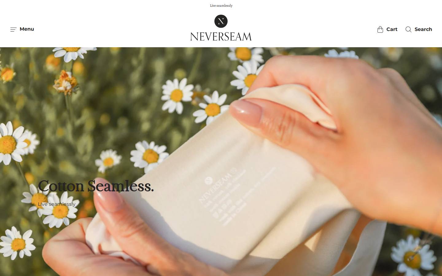 Neverseam homepage screenshot