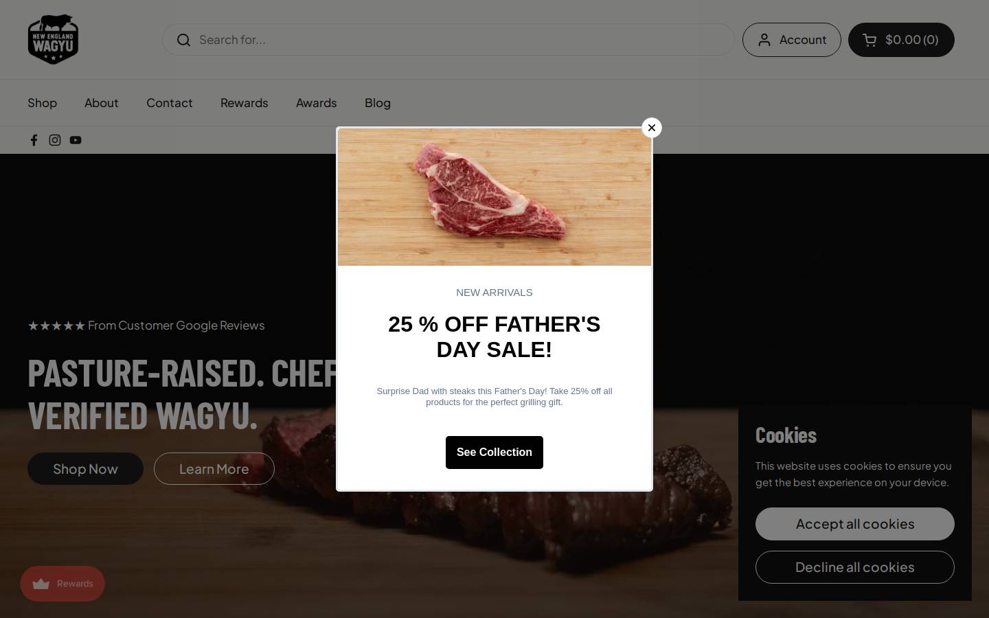 newagyu.com homepage screenshot