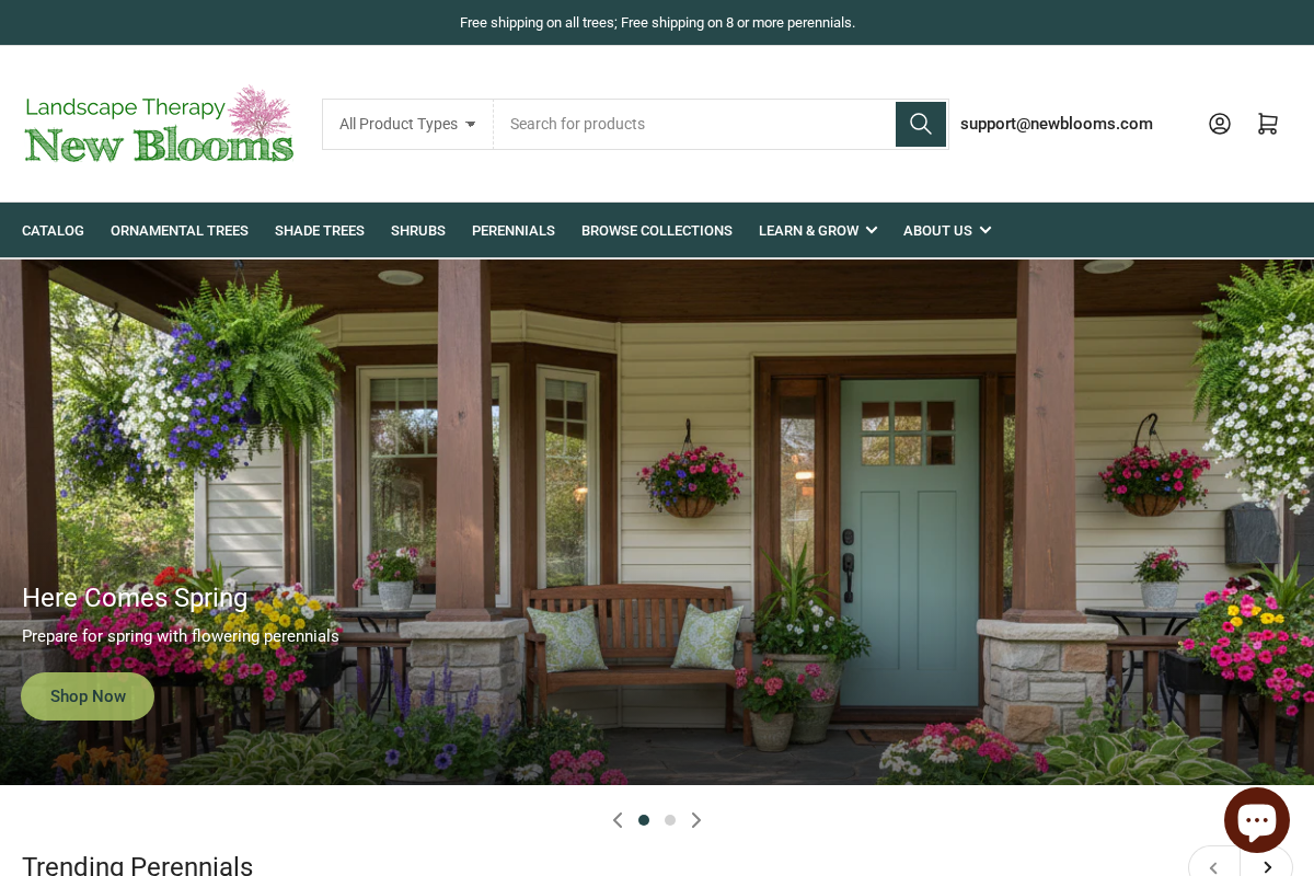 Newblooms homepage screenshot