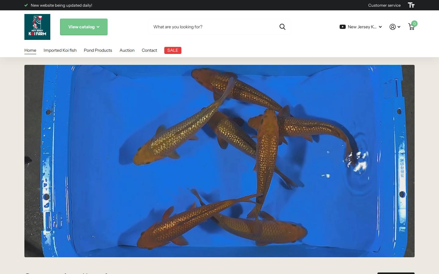 newjerseykoi.com homepage screenshot