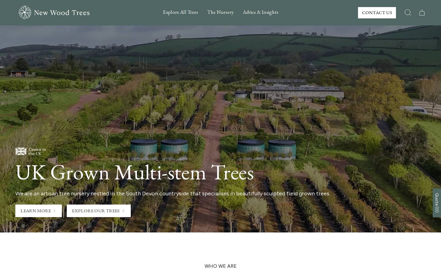 New Wood Trees homepage screenshot