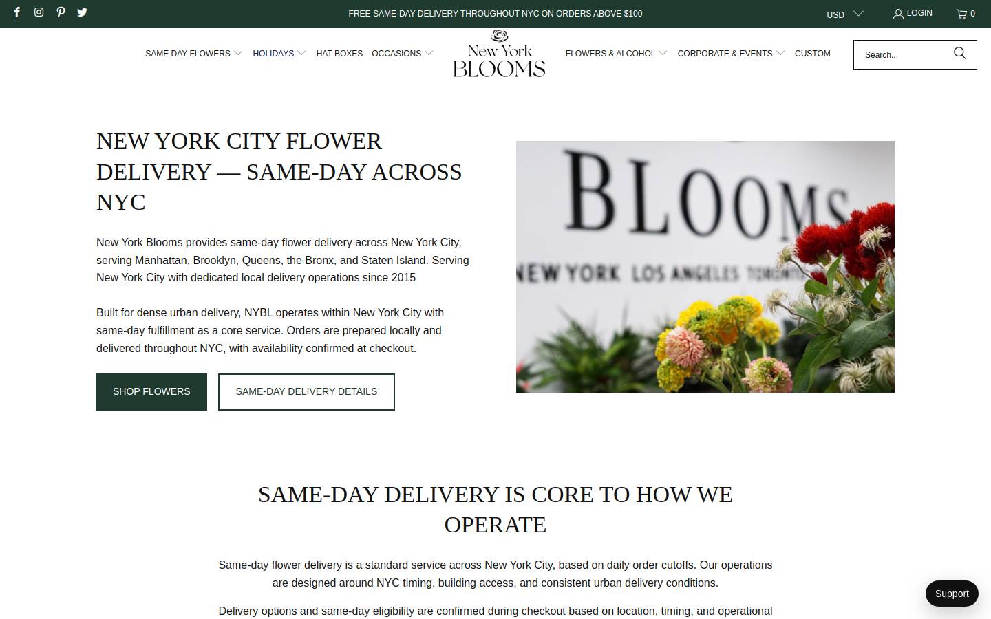 antique sculpture homepage screenshot