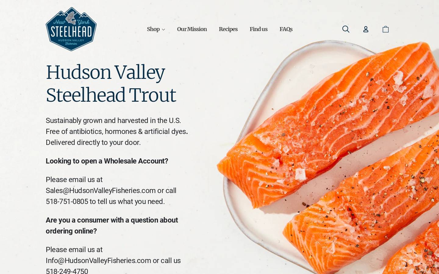 newyorksteelhead.com homepage screenshot