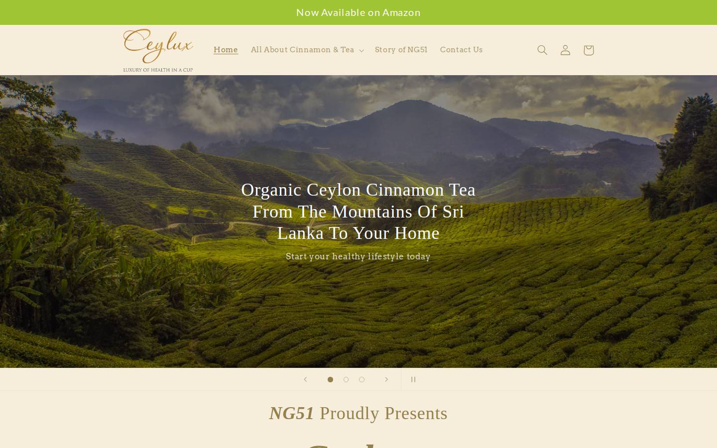 ng51canada.ca homepage screenshot