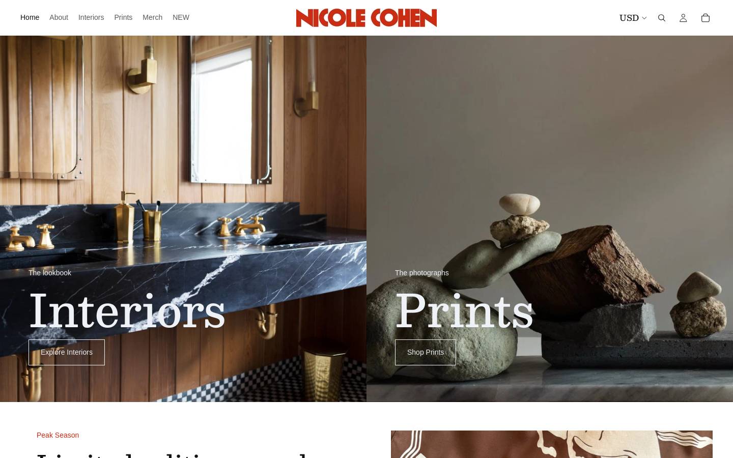 nicolecohenart.com homepage screenshot