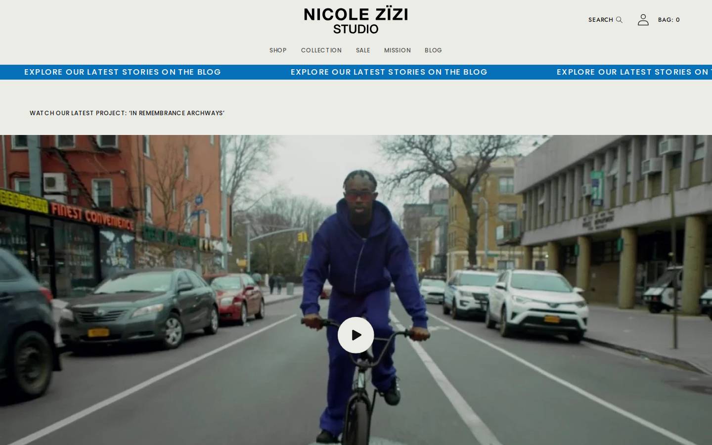 nicolezizi.com homepage screenshot