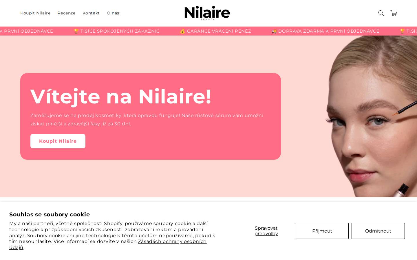 nilaire.com homepage screenshot