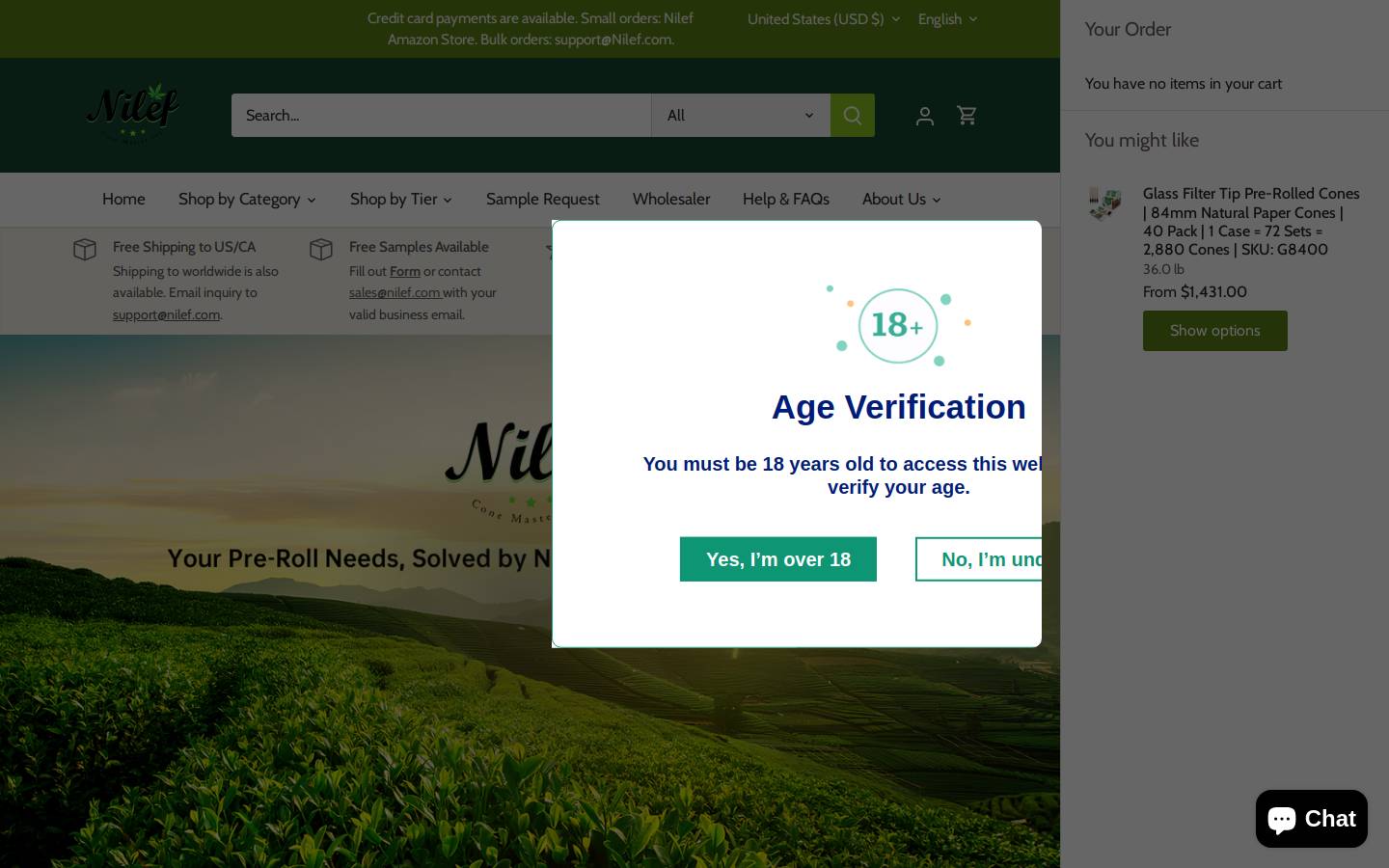 nilef.com homepage screenshot