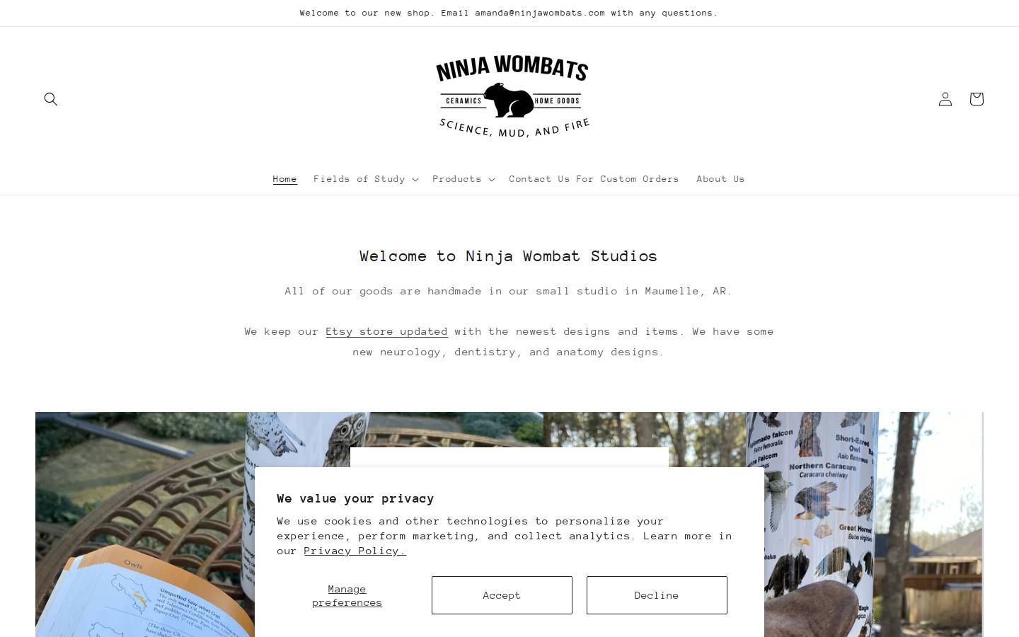 ninjawombats.com homepage screenshot