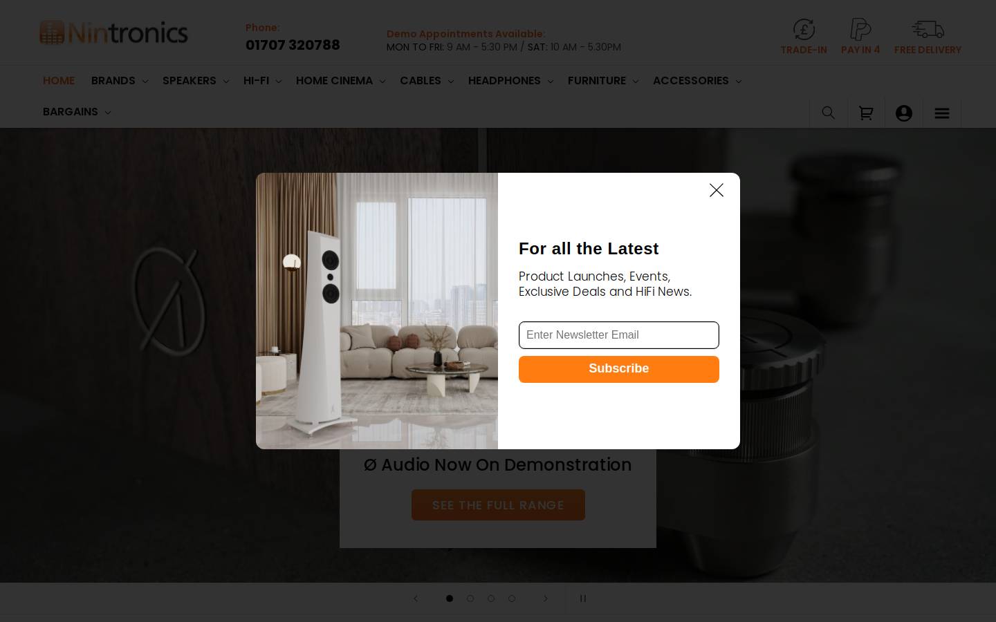 Nintronics Ltd homepage screenshot