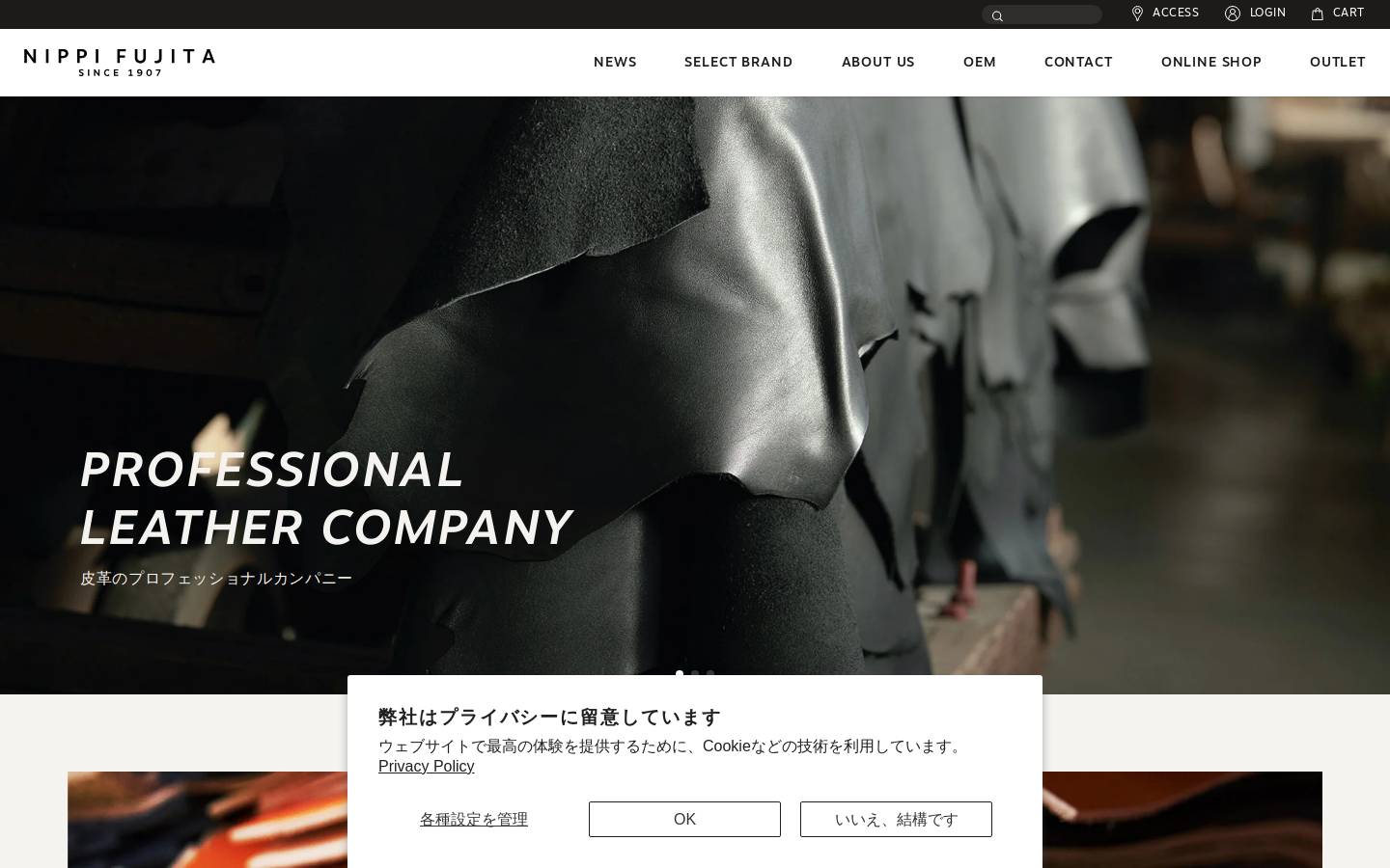 nippi-fujita.com homepage screenshot