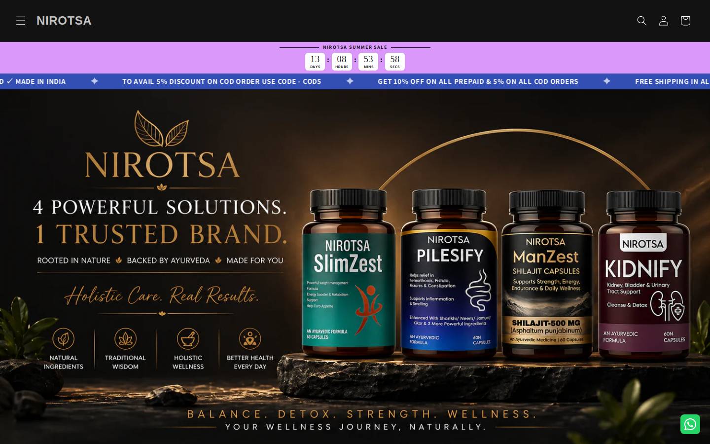 nirotsa.in homepage screenshot