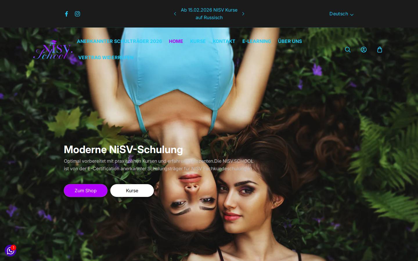 nisvschool.de homepage screenshot