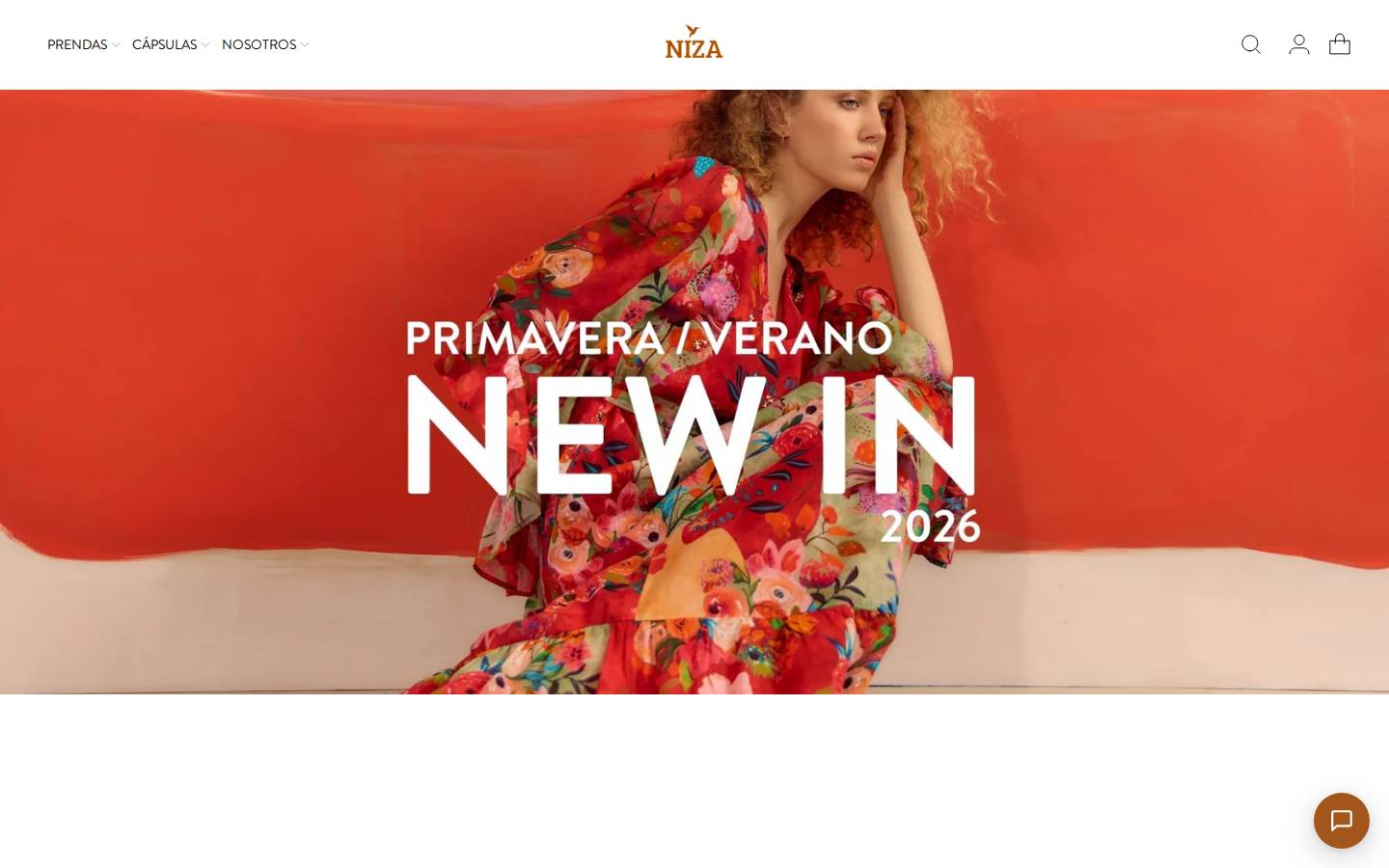 NIZA homepage screenshot