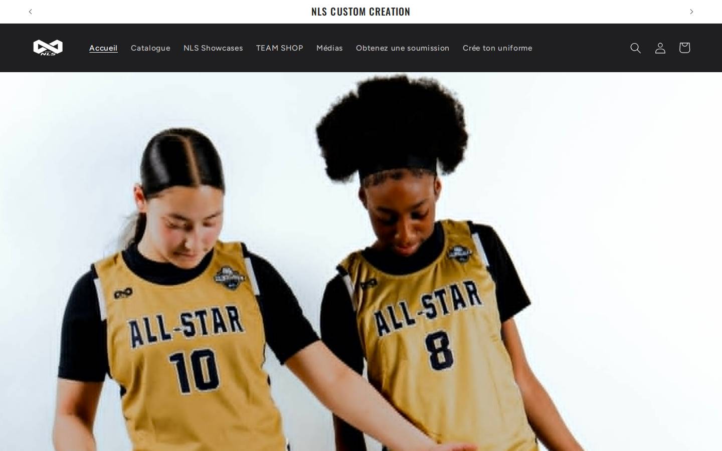 nlscreation.com homepage screenshot