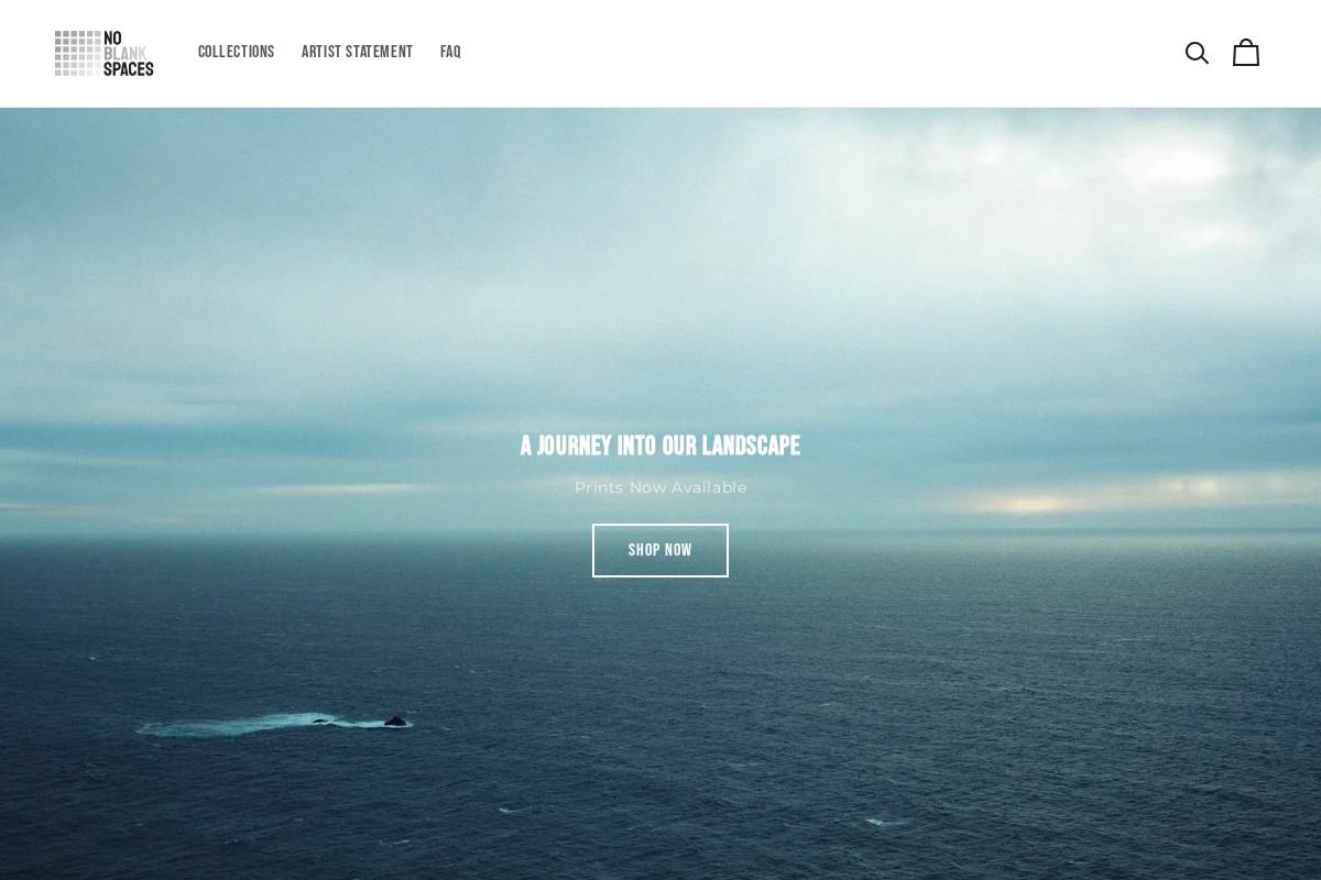 noblankspaces.com homepage screenshot