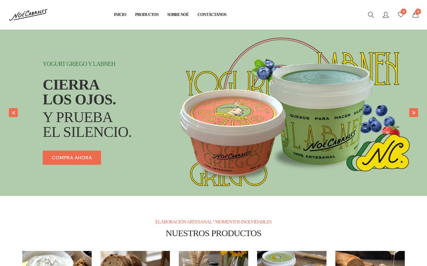 noecabrales.com homepage screenshot