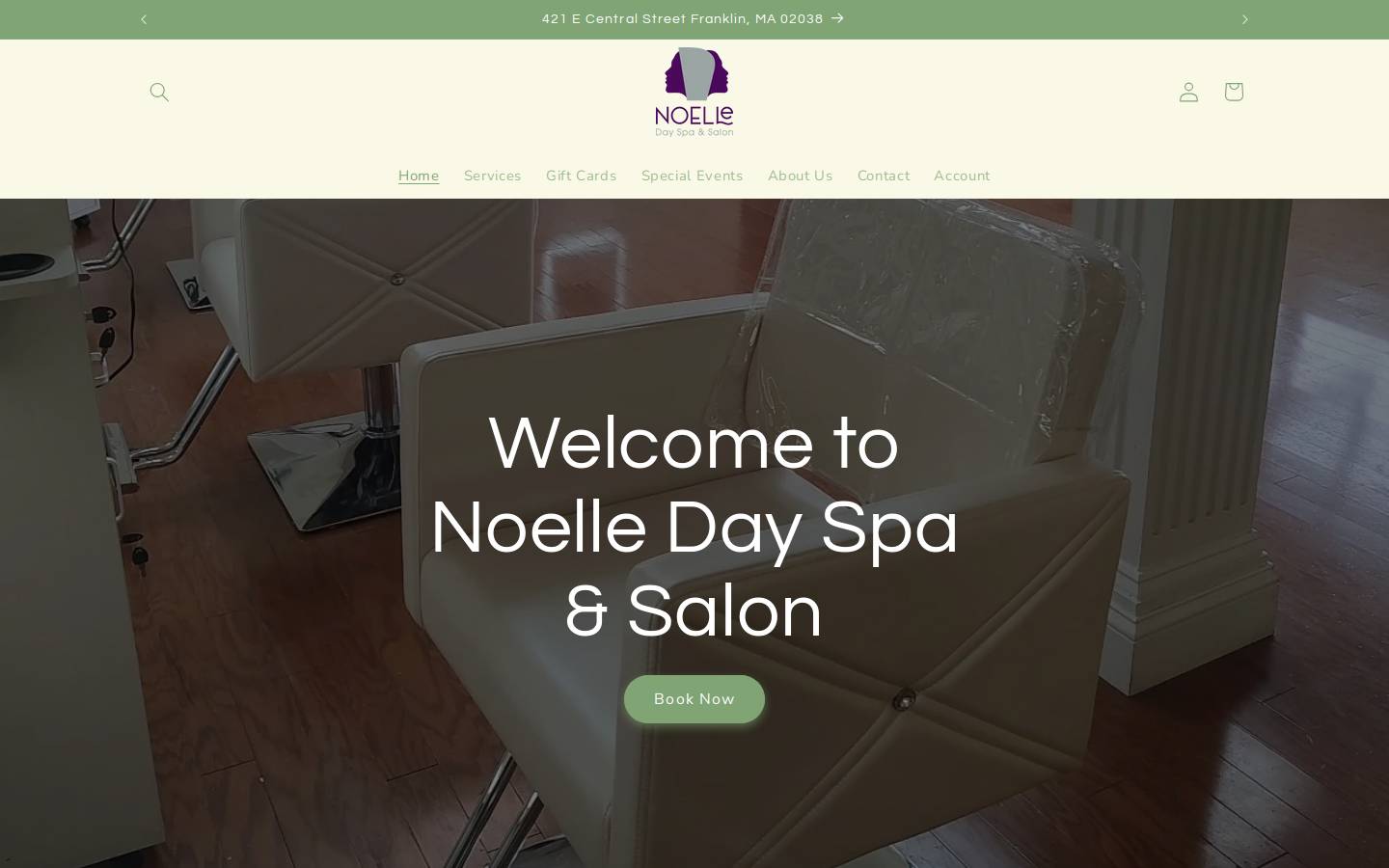 noelledayspa.com homepage screenshot