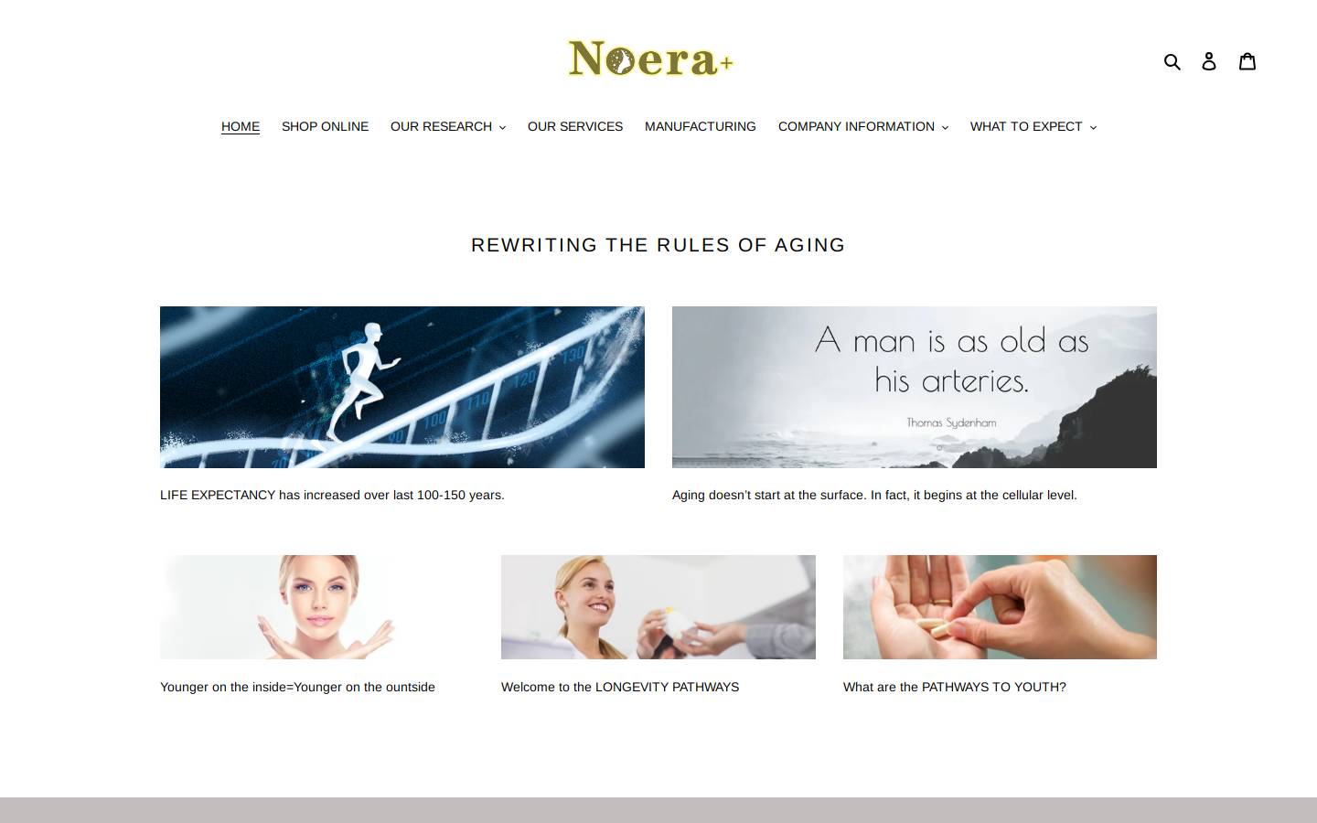 noerausa.com homepage screenshot