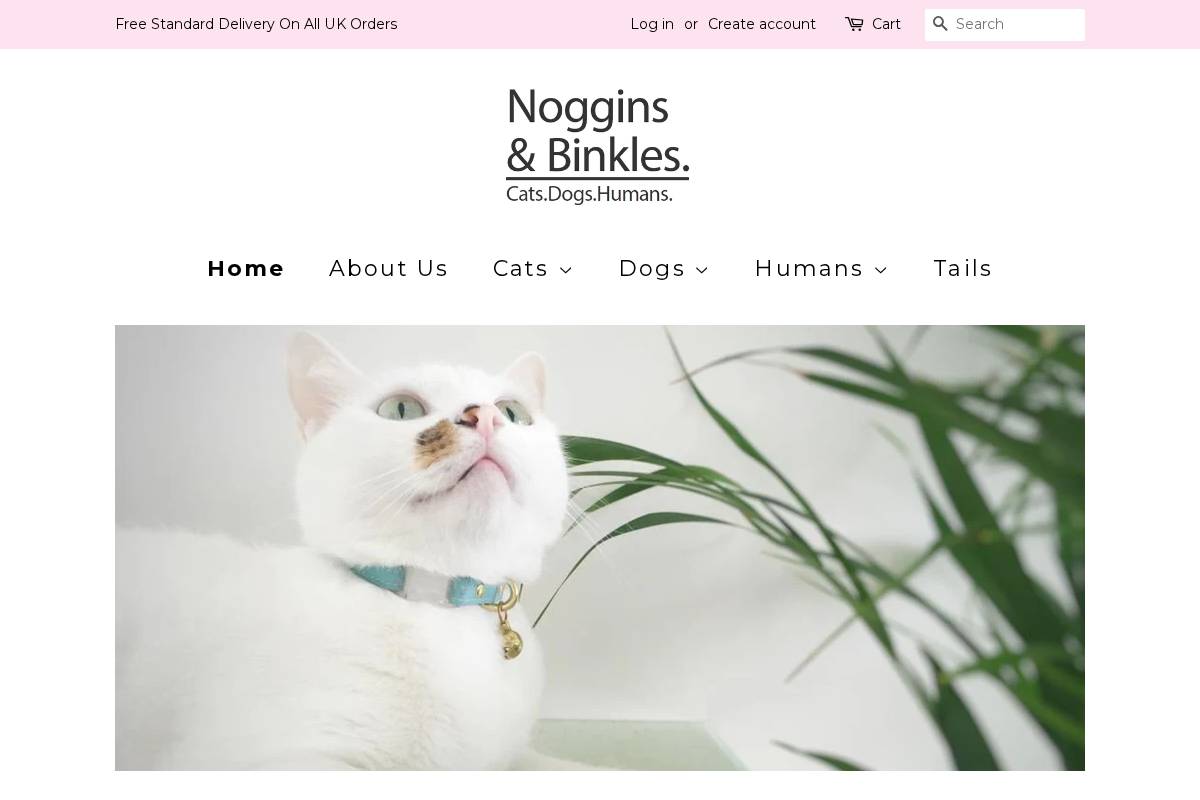 nogginsandbinkles.com homepage screenshot