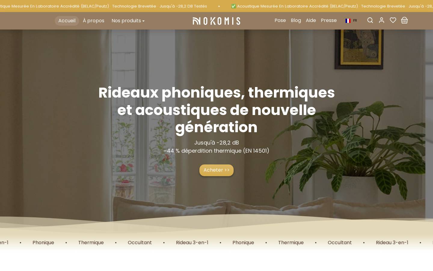 Nokomis homepage screenshot