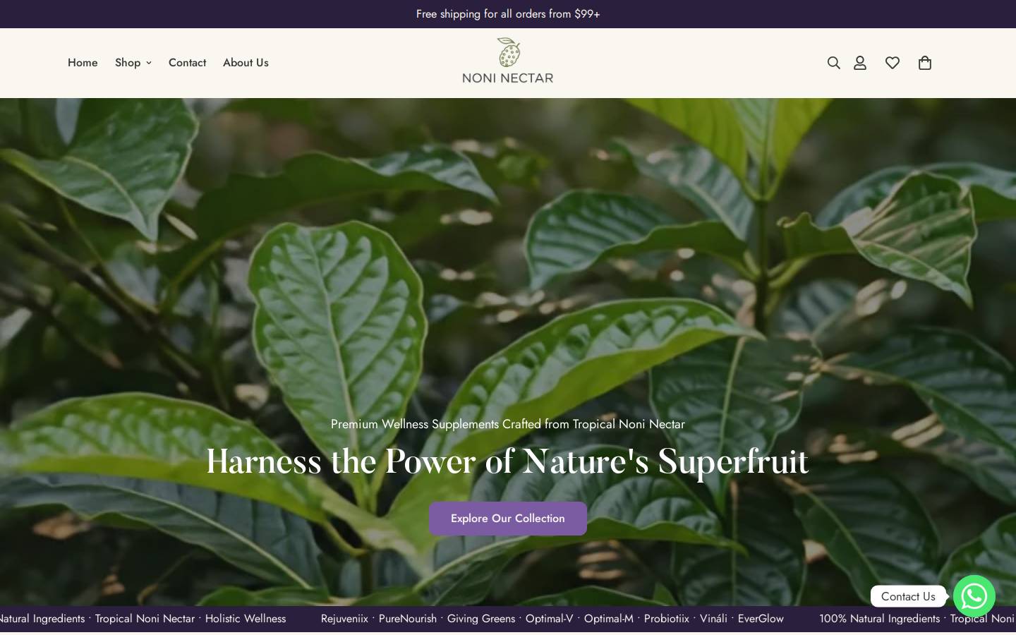noninectar.com homepage screenshot