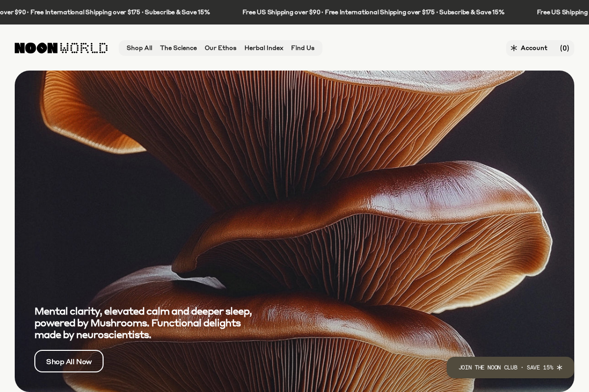 noon homepage screenshot