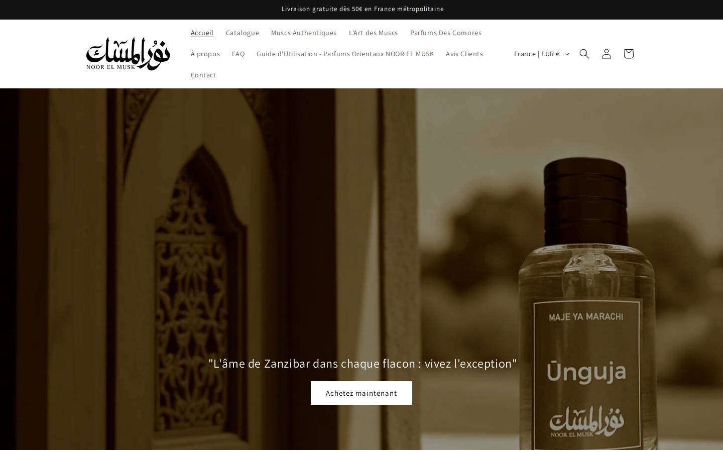 noorelmusk.com homepage screenshot