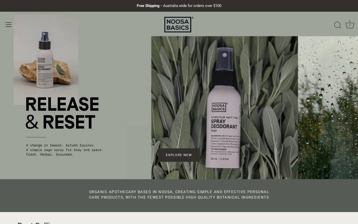 noosabasics.com.au homepage screenshot